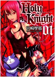 cover holy knight