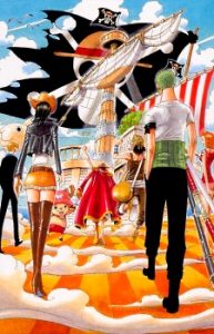 cover one piece